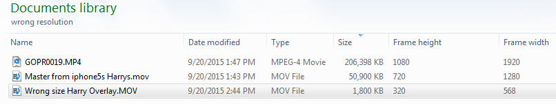 shows input and output video frame w and h.